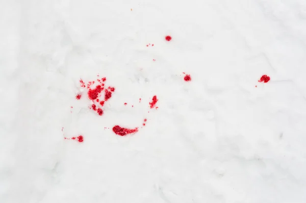 Taches de sang dans la neige — Photo