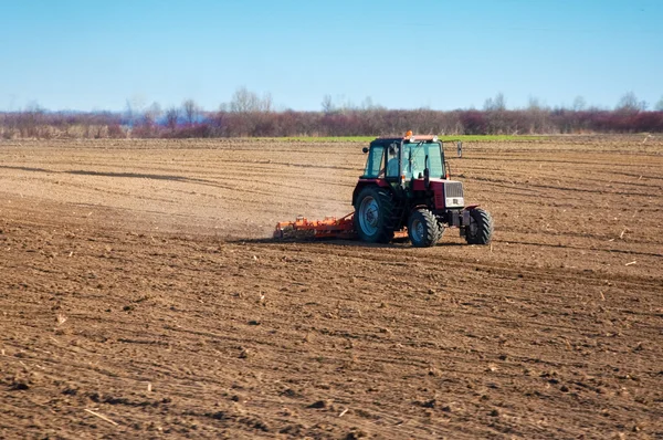 stock image Seeding onion