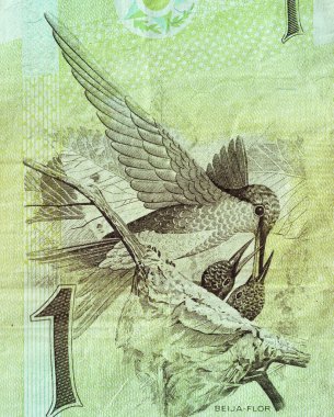 A fragment of the Brazilian banknotes in a real 1994. with a picture of a hummingbird (sapphire amaziliya) clipart