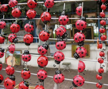 Hatıra ladybugs mıknatıslar üzerinde