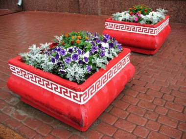 Concrete vase with flowers on the sidewalk after the rain clipart