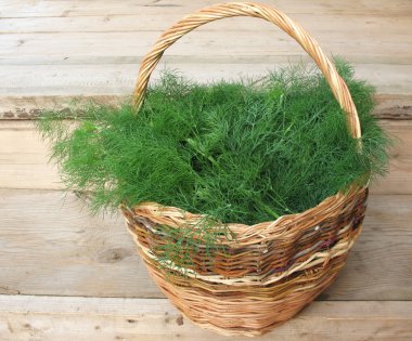 Cut fennel scented (Anethum graveolens) in a wicker basket clipart