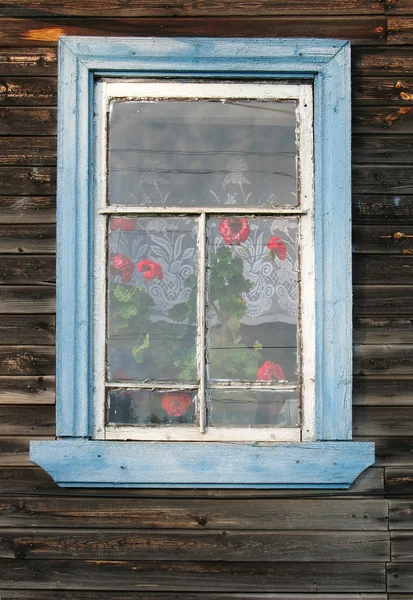 Rustieke venster met geraniums (Pelargonium) — Stockfoto