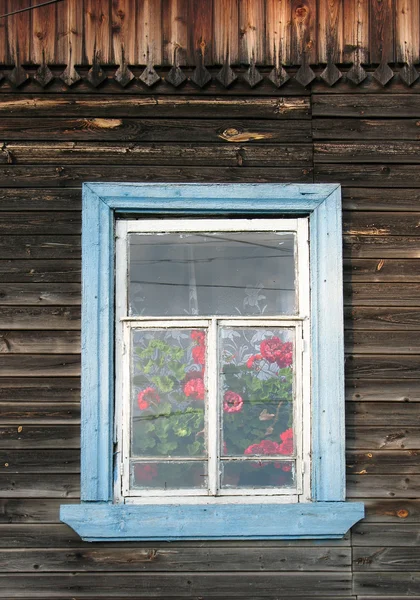 Rusztikus ablak muskátlival (Pelargonium) — Stock Fotó