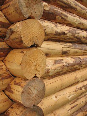 Corner bath with chopped peeled from logs