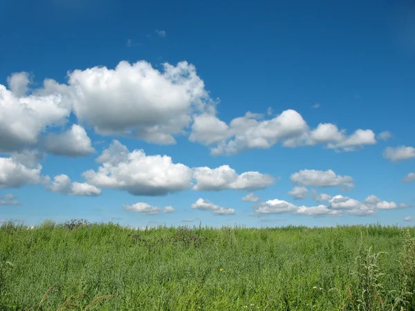 Paisaje de verano con nubes — Foto de Stock