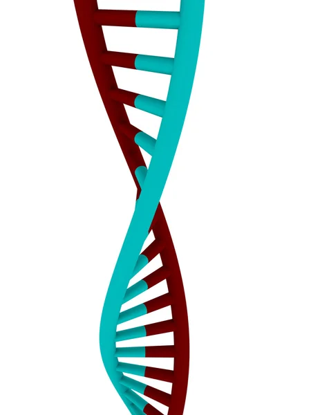 3d Renderizado de una hebra de ADN — Foto de Stock