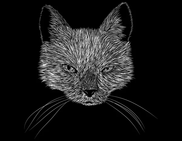 Arte de placa do risco de uma cabeça de gatos e rosto — Vetor de Stock