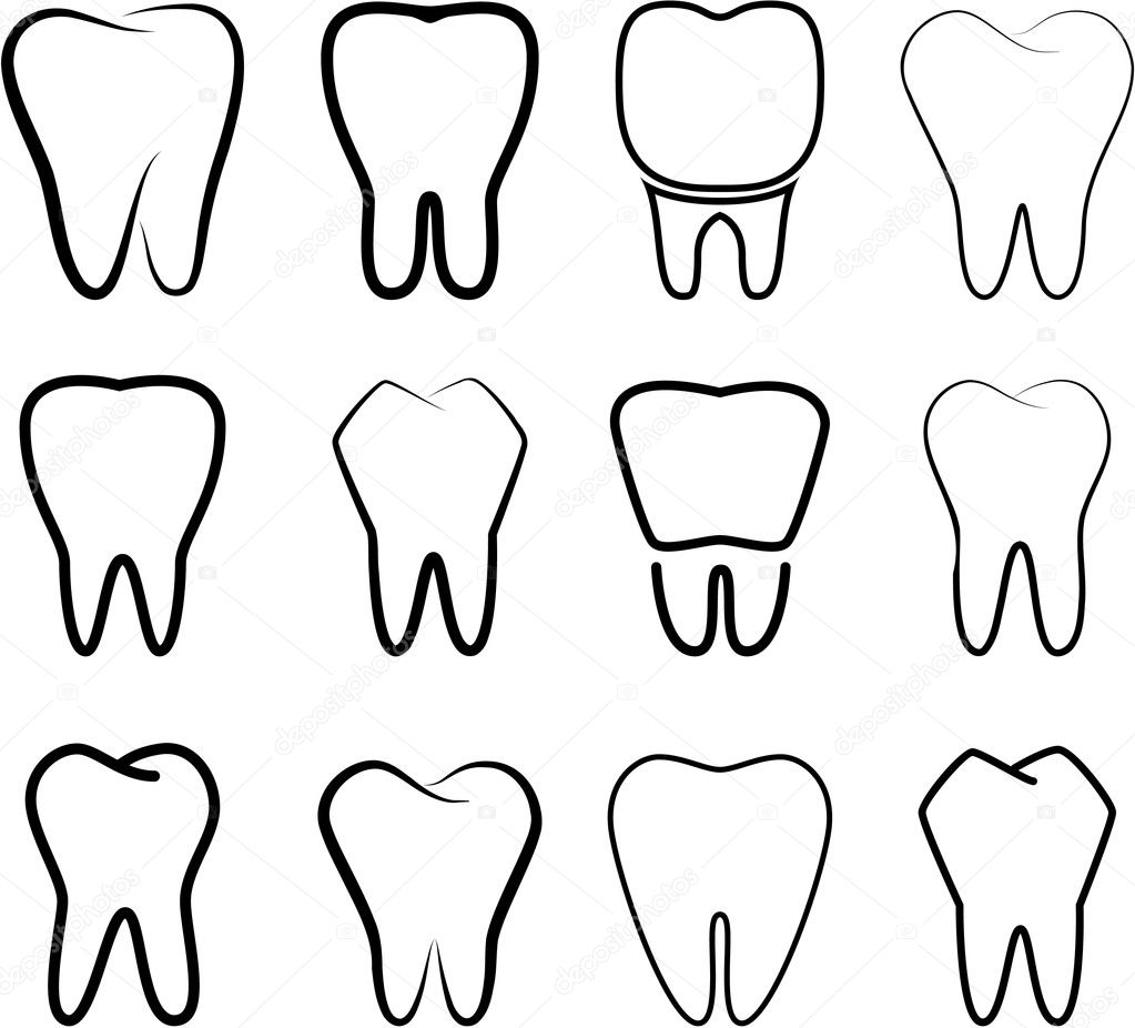Set of the stabilized teeth on a white background.