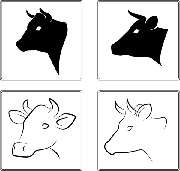 Cow. The heads of a cow on a white background — Stock Vector