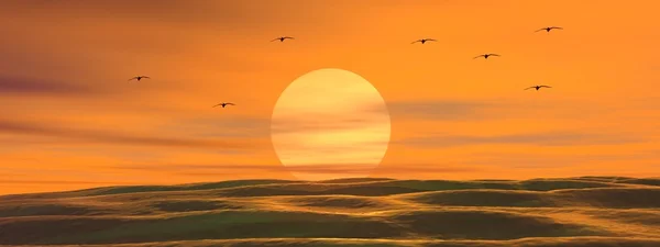 Sunrise orange — Stockfoto