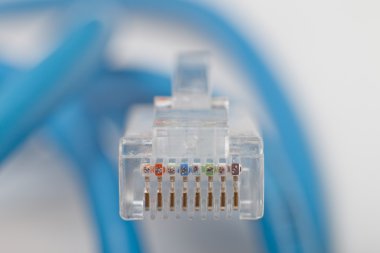 RJ45 kablosu gri arka plan üzerinde. sığ dof.