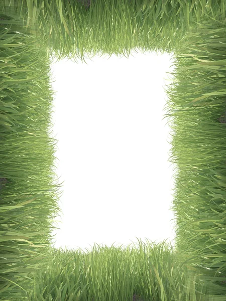 Cornice in erba su sfondo bianco — Foto Stock