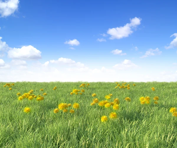 Yellow dandelion flowers on blue sky background, spring photo — Stock Photo, Image