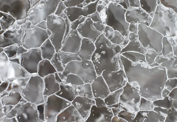 Frisches kühles Eis Hintergrund oder Tapete für Sommer oder Winter — Stockfoto