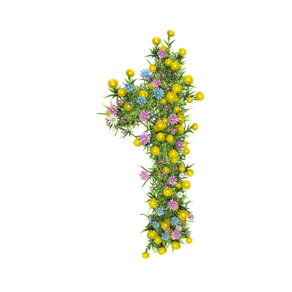 Nummer 1, bloem alfabet geïsoleerd op wit — Stockfoto