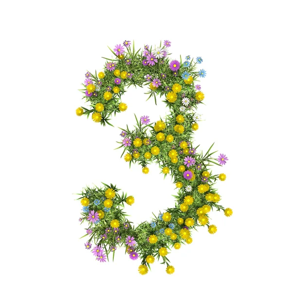 Αριθμός 3, λουλούδι αλφάβητο που απομονώνονται σε λευκό — Φωτογραφία Αρχείου