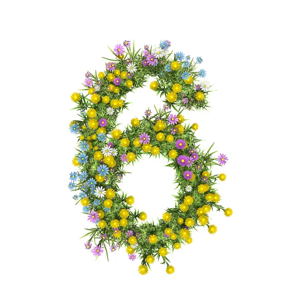 Αριθμός 6, λουλούδι αλφάβητο που απομονώνονται σε λευκό — Φωτογραφία Αρχείου