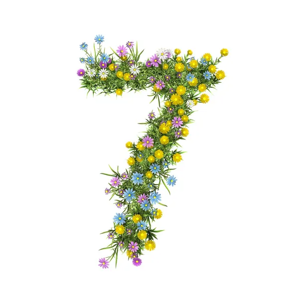 Číslo 7, abeceda květin, izolované na bílém — Stock fotografie