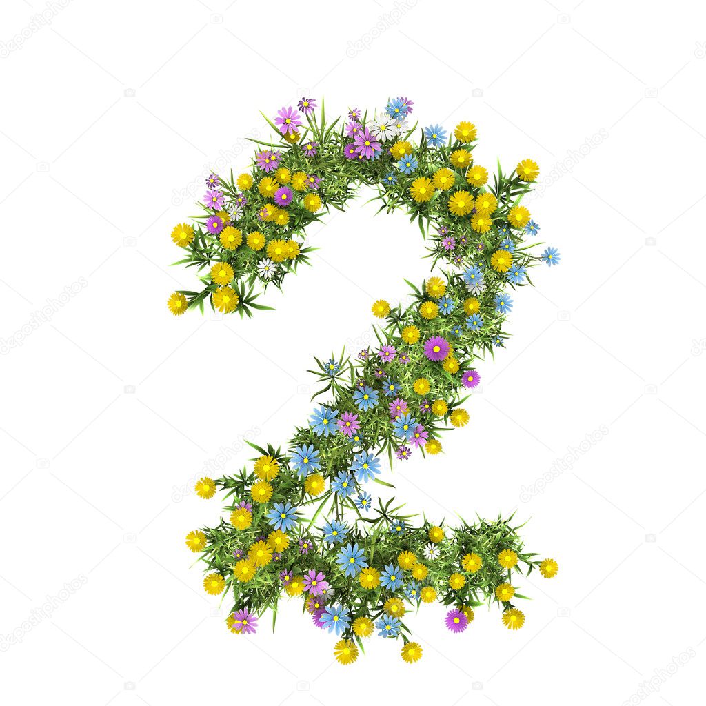 Number 2, flower alphabet isolated on white