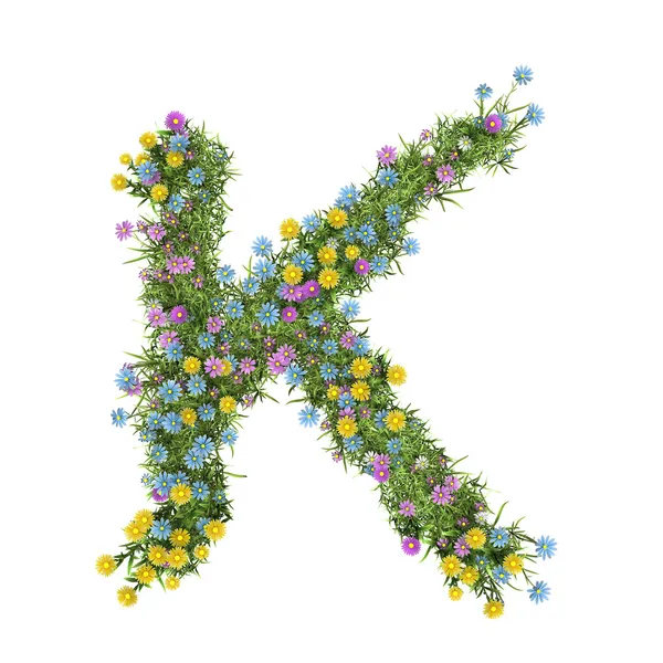 Mektup k, üzerinde beyaz izole çiçek alfabesi — Stok fotoğraf