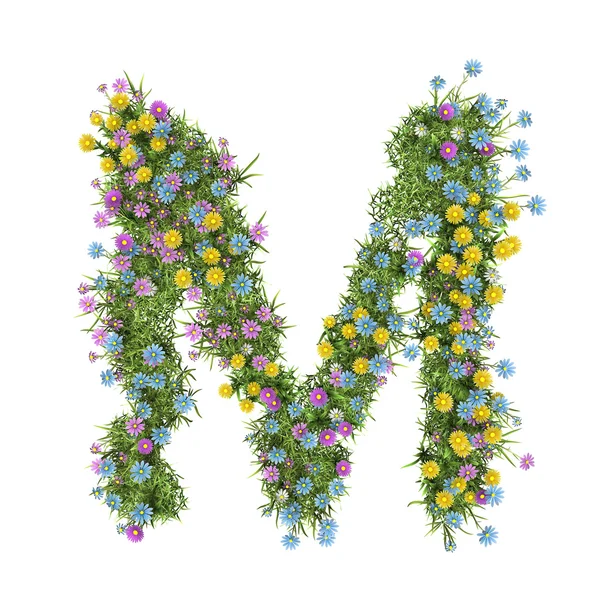 Písmeno m, abeceda květin, izolované na bílém — Stock fotografie