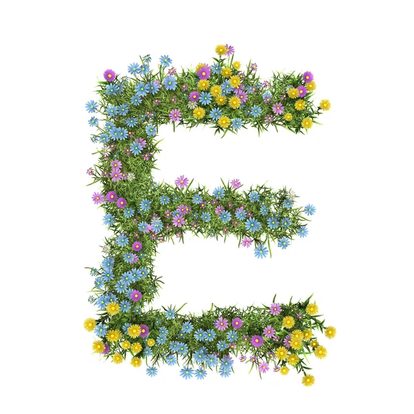 Písmeno e, abeceda květin, izolované na bílém — Stock fotografie
