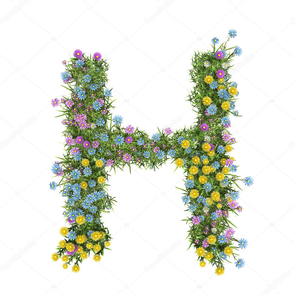 Letter H, flower alphabet isolated on white