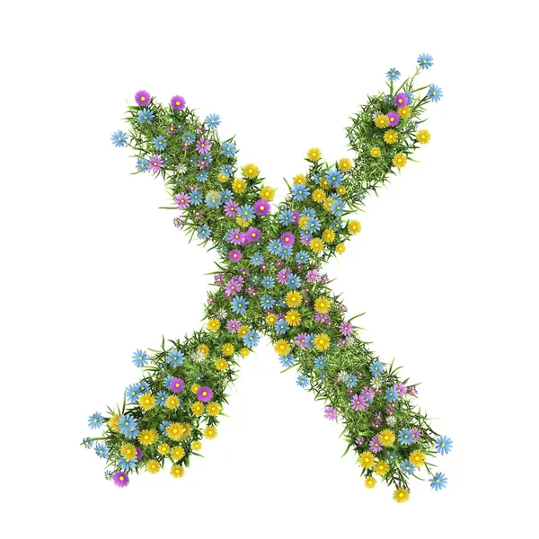 字母 x、 花卉字母表上白色隔离 — 图库照片