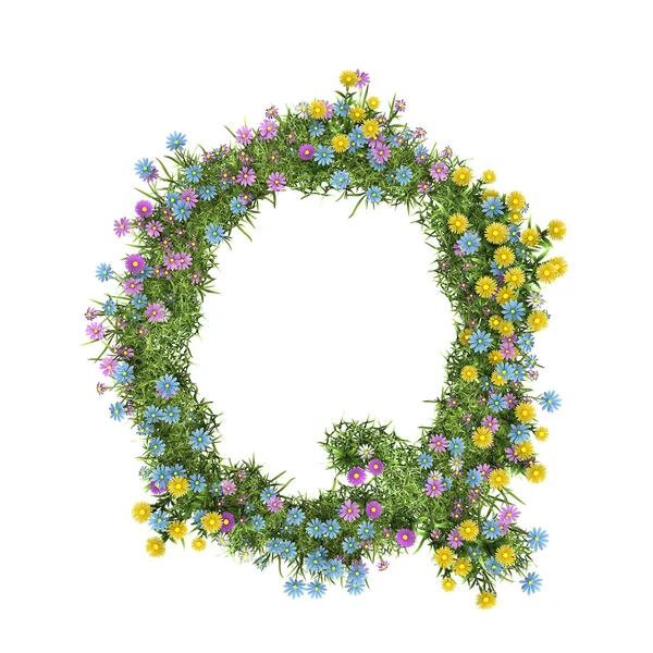 Буква Q, цветочный алфавит изолирован на белом — стоковое фото