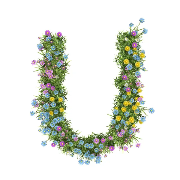 Písmeno u, abeceda květin, izolované na bílém — Stock fotografie