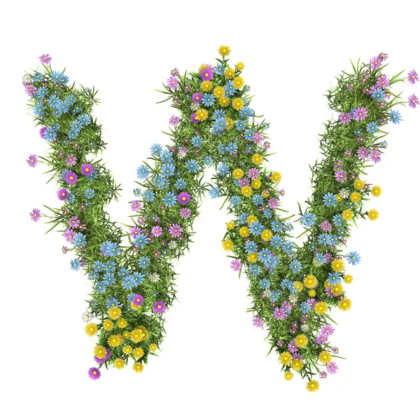 Буква W, цветочный алфавит изолирован на белом — стоковое фото