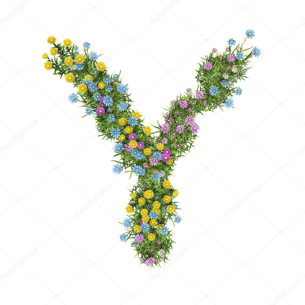 Letter Y, flower alphabet isolated on white