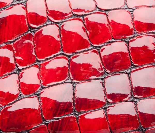Pelle artificiale rossa — Foto Stock