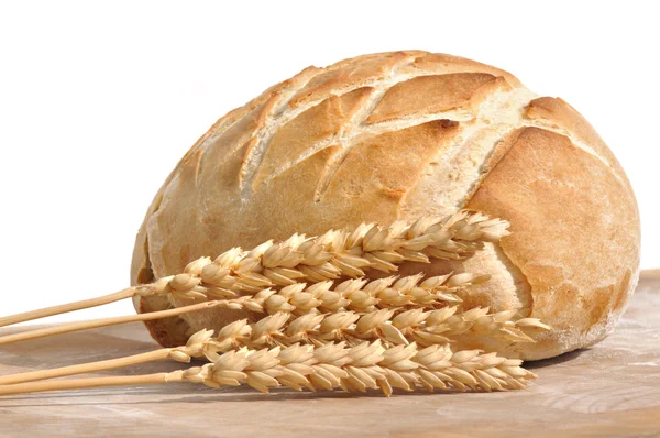 빵의 황금 덩어리 — 스톡 사진