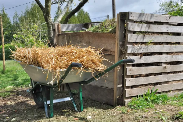 Compost bin and wheelbarrow — Stock Photo, Image