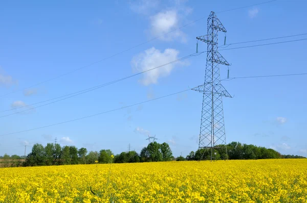 Pylon energii elektrycznej w pole rzepaku — Zdjęcie stockowe