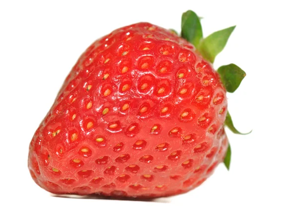 stock image Strawberry