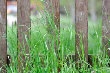 Wooden fence clipart