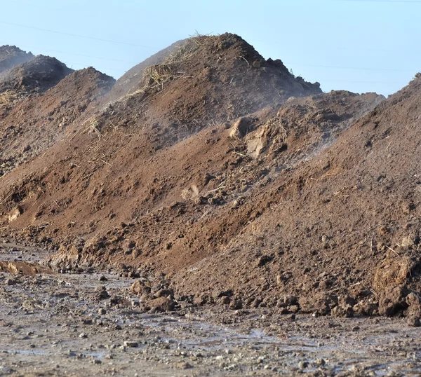 Pilha de estrume depositada num campo — Fotografia de Stock