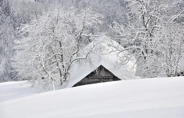 Cottage nestled in the snowy mountain — Stock Photo, Image