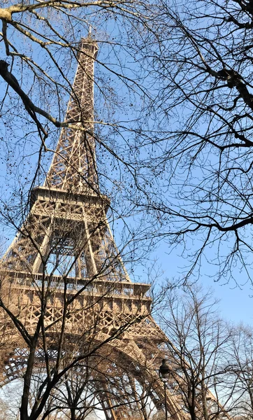 Eiffel Tower behind branches — Stock Photo, Image