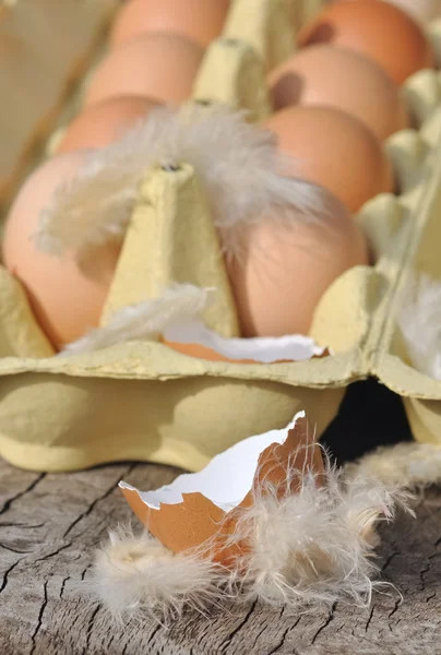 Guscio d'uovo di Emty — Foto Stock