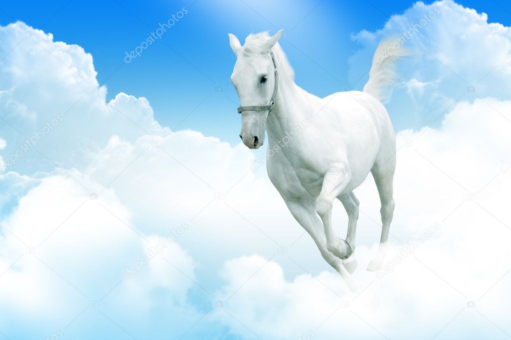 White horse in motion, in the sky