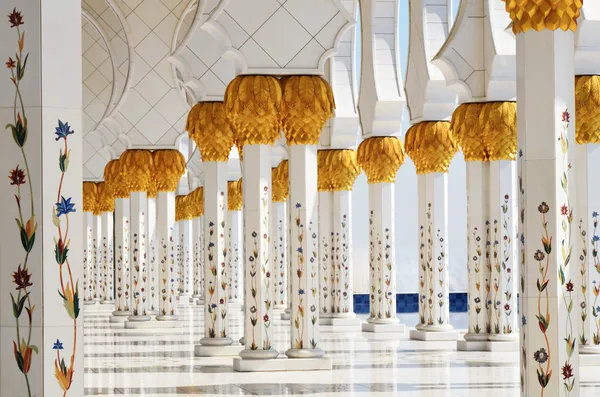在阿联酋阿布扎比的谢赫扎耶德清真寺的列 — 图库照片