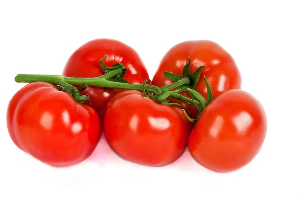 Verse tomaten geïsoleerd op wit — Stockfoto