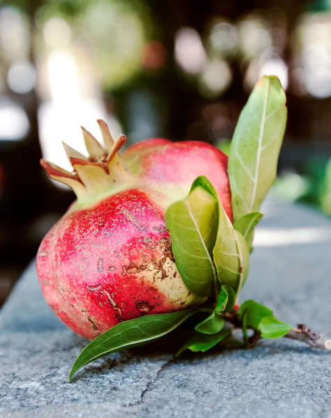 stock image Pomegranate