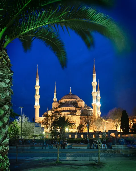 Mezquita azul por la noche — Foto de Stock