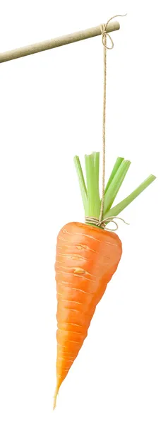 Морковь на нитке — стоковое фото