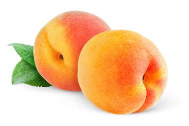 Peaches (or apricots) clipart